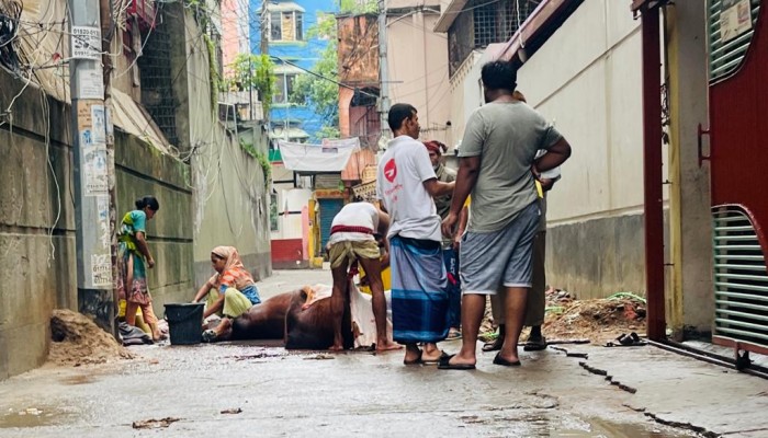 ঈদুল আজহার দ্বিতীয় দিনেও রাজধানীসহ দেশের বিভিন্ন স্থানে চলছে পশু কোরবানি