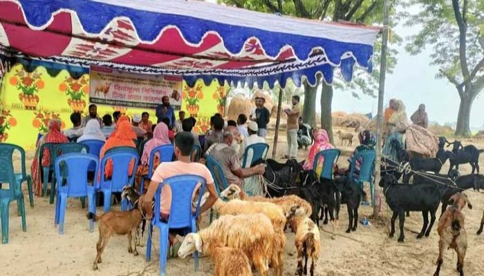 তানোরে বিনামূল্যে পিপিআর টিকা প্রদান ক্যাম্পেইন