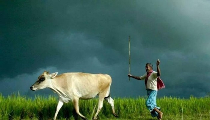 ঢাকাসহ ৫ বিভাগে বৃষ্টির পূর্বাভাস, কমবে অসহনীয় গরম