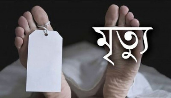 ধান কাটতে গিয়ে হিট স্ট্রোকে শ্রমিকের মৃত্যু