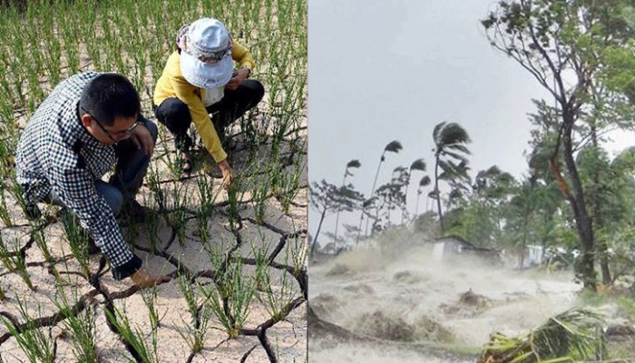 জলবায়ু পরিবর্তন: দেশে প্রতি ৩ শিশুর ১ জন ক্ষতির শিকার