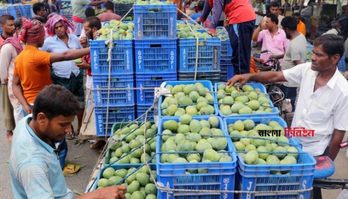 রাজশাহীতে জমে উঠেছে আমের হাট, দাম চড়া