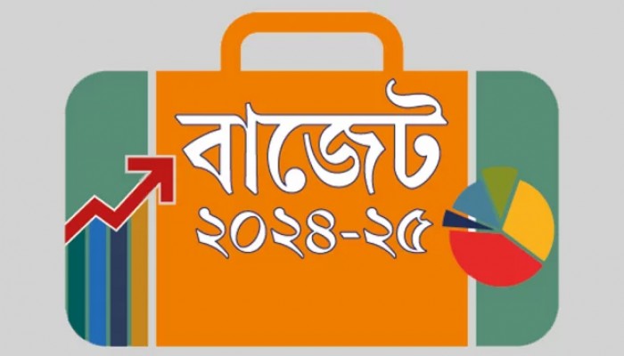 কালোটাকা সাদা করতে পারবে প্রতিষ্ঠানও