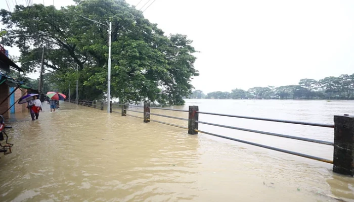 ভারী বৃষ্টিতে সিলেটে বন্যায় ১১ হাজার ৭০৭ হেক্টর জমির ফসল প্লাবিত