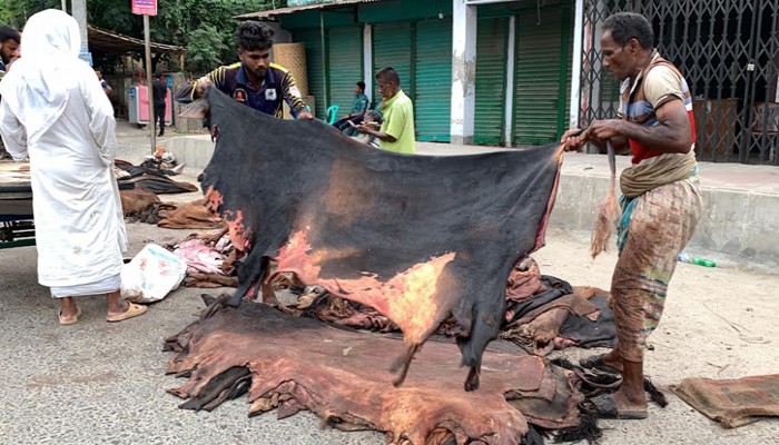 রাজশাহীতে চামড়া নিয়ে বিপাকে বিক্রেতারা, গরুর সঙ্গে ছাগলের চামড়া ফ্রি