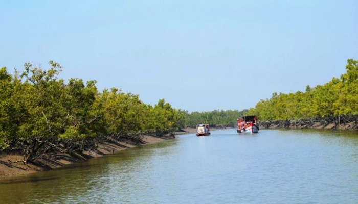 আজ খুলছে সুন্দরবনের প্রবেশ দ্বার