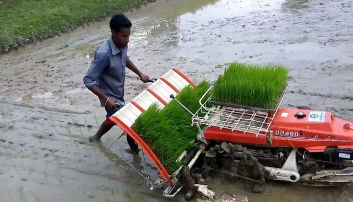 রাজশাহী বিভাগের কৃষি উন্নয়নে ব্যয় বাড়ছে ৩৫ কোটি টাকা