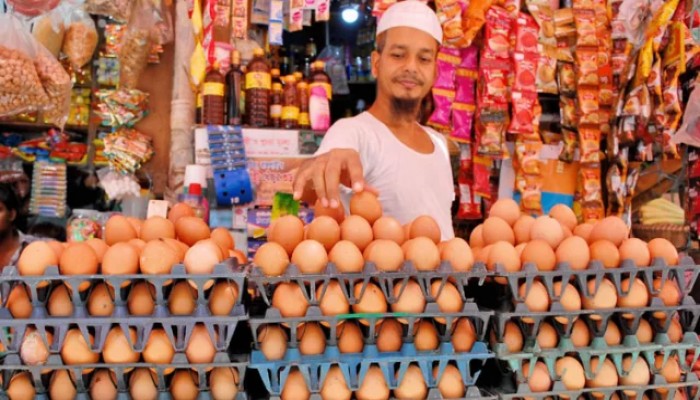 সরকার ডিমের সিন্ডিকেট ভাঙতে ব্যর্থ: হাসনাত