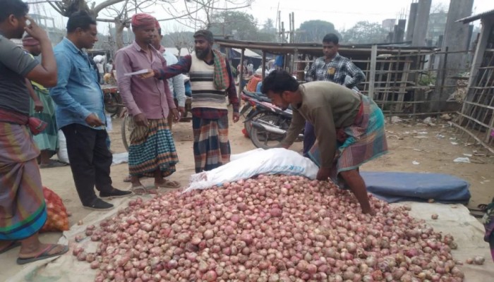 মুড়িকাটা পেঁয়াজের দামে হতাশ যশোরের কৃষক