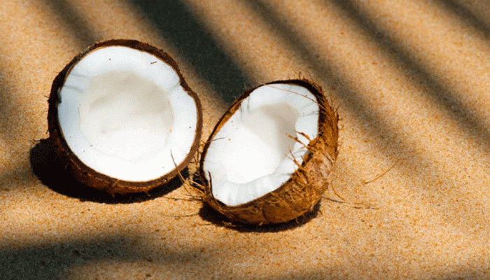 শুকনো নারিকেলে হার্ট ভালো থাকে