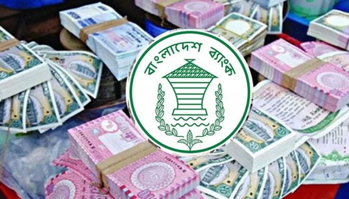 বাজারে আসছে ২০, ৫০ ও ১০০ টাকা, কী থাকছে নতুন নোটের ডিজাইনে