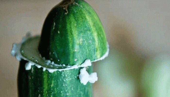 শসা কেটে ঘষে ফেলা কেন জরুরি