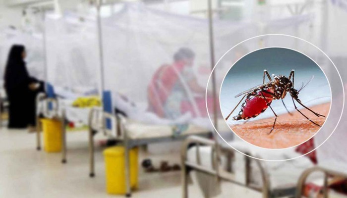 ডেঙ্গুতে আরো ২ জনের মৃত্যু, হাসপাতালে ১৯৫