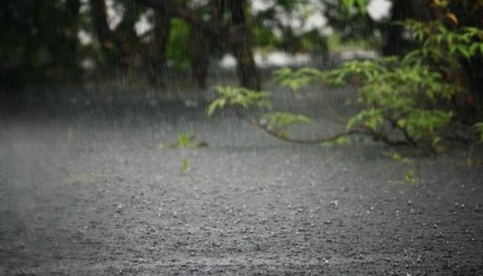 আজ দেশের যেসব জায়গায় হতে পারে বৃষ্টি