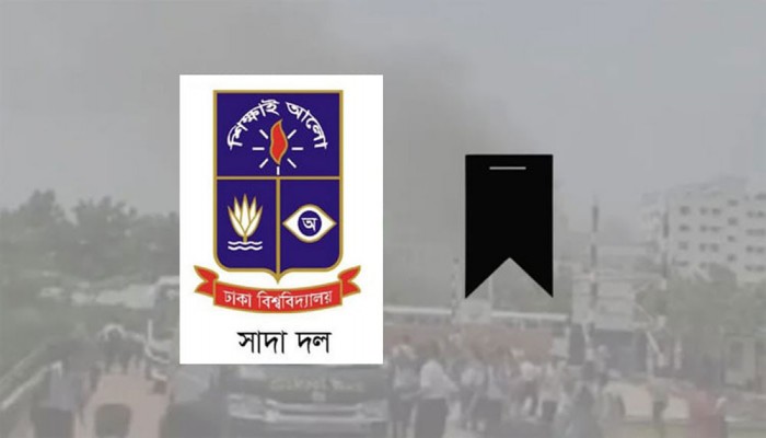 ঢাবির পদার্থ বিজ্ঞানের অধ্যাপক আমিনুর রশিদের মৃত্যুতে সাদা দলের শোক