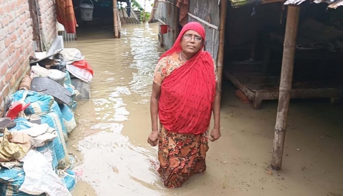 রাজশাহী-চাঁপাইনবাবগঞ্জে বন্যায় কয়েকশ পরিবার পানিবন্দি