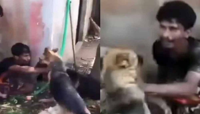 কুমিল্লায় কুকুর লেলিয়ে যুবককে নির্যাতনের ঘটনায় গ্রেপ্তার ৩
