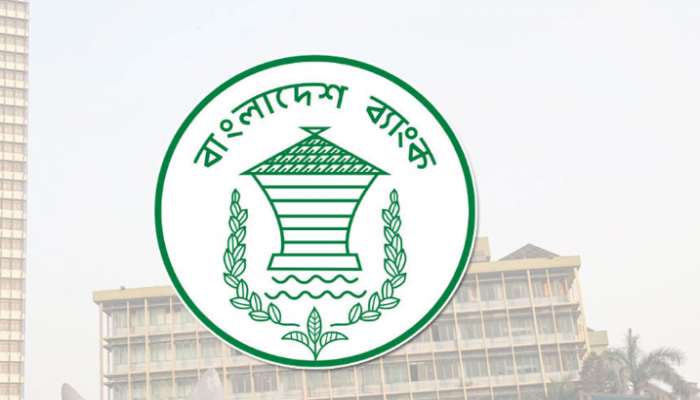এসএমই উদ্যোক্তারা বিদেশে ৩ হাজার ডলার পাঠাতে পারবেন