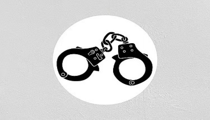 ঢাকায় আওয়ামী লীগের ৭ নেতা-কর্মী গ্রেপ্তার: পুলিশ