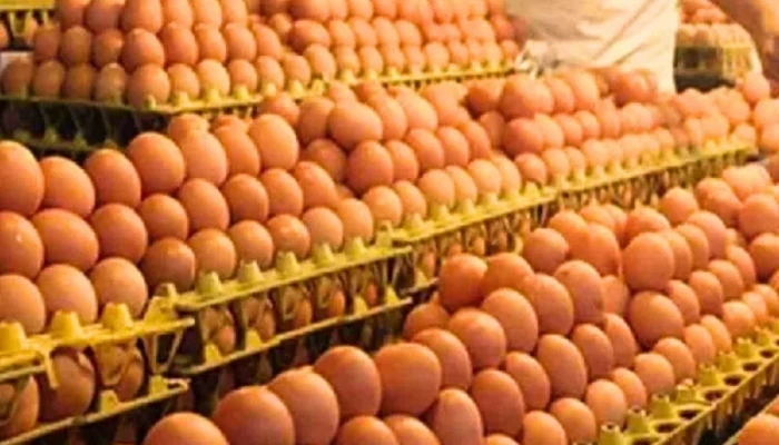 হাত বদলেই বাড়ে ডিমের দাম