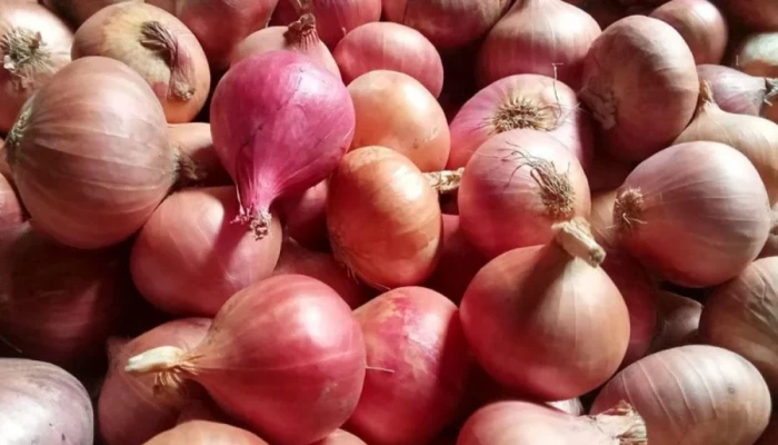 পেঁয়াজ আমদানির সুপারিশ ট্যারিফ কমিশনের