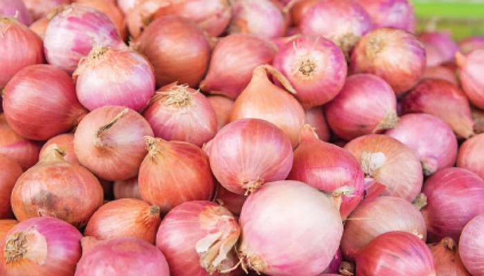 সিন্ডিকেটের ফাঁদে পেঁয়াজ আমদানির অনুমতি