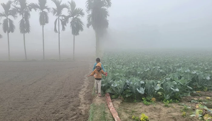 ফুলবাড়ীতে সর্বনিম্ন তাপমাত্রা ১১.৫ ডিগ্রি সেলসিয়াস