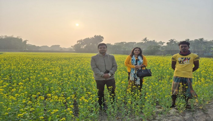 সরিষার হলুদে মোড়ানো দুর্গাপুর: চোখ জুড়ানো সৌন্দর্য, আশায় কৃষক