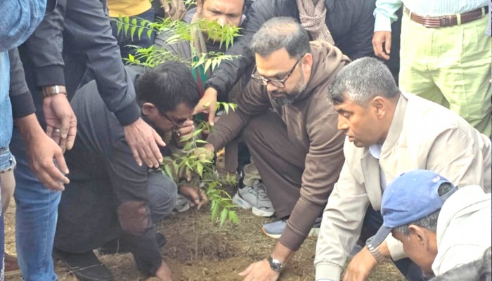 সংবর্ধনাস্থলের ক্ষত পুষিয়ে নিতে বিএনপির বৃক্ষরোপণ কর্মসূচি