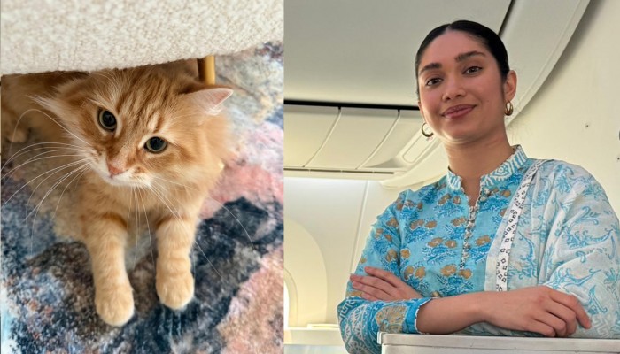 জেবুর মাধ্যমে আমাদের অনেকেই ধৈর্য শিখেছে: জাইমা রহমান