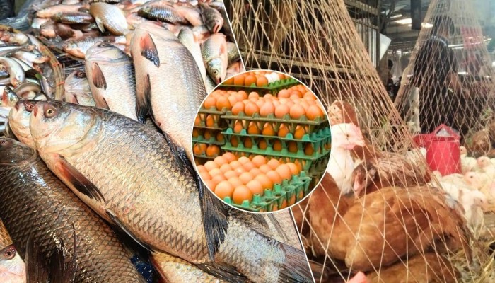 মাছের বাজার চড়া, মুরগি-ডিমে কিছুটা স্বস্তি