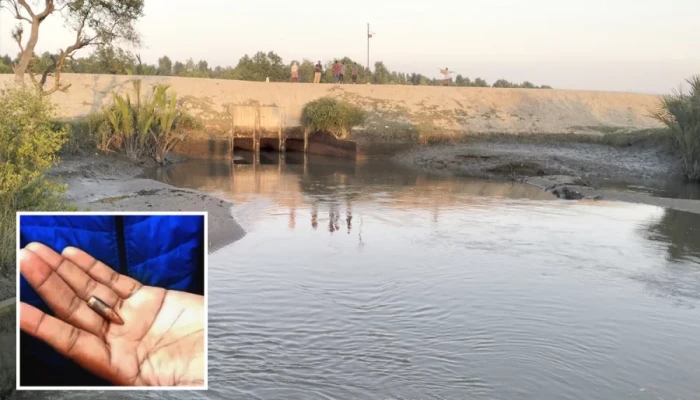 মিয়ানমার থেকে ছোড়া গুলি এপারে, বিস্ফোরণের শব্দে সীমান্তে আতঙ্ক