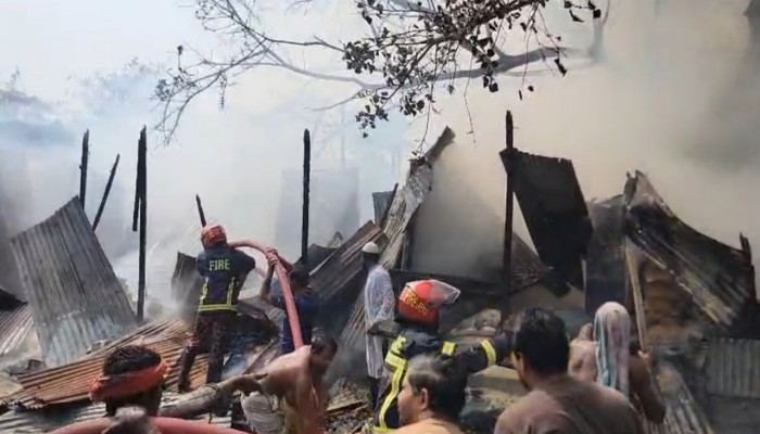 হরিরামপুরে ভয়াবহ অগ্নিকাণ্ড, পুড়ে ছাই ১১ দোকান
