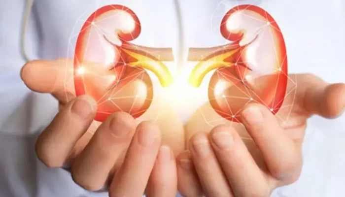 বিশ্ব কিডনি দিবস আজ