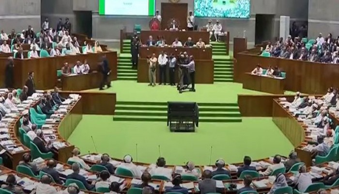 সংসদের বিশেষ কমিটিতে পাঠানো হলো ১৩৩ অধ্যাদেশ