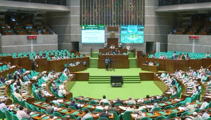 সংসদে ‘সাইবার সুরক্ষা বিল-২০২৬’ পাস