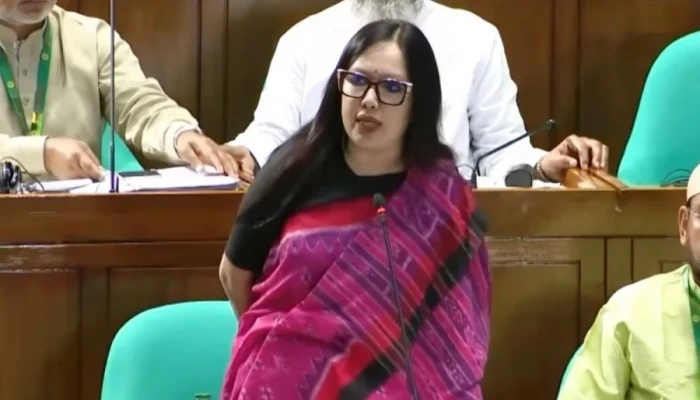 মবের শহরে পরিণত হয়েছে দেশ: সংসদে রুমিন ফারহানা