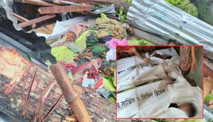 জামালপুরে কালবৈশাখী ঝড়ের তাণ্ডব, গাছ চাপায় মা ও দুই মেয়ের মৃত্যু