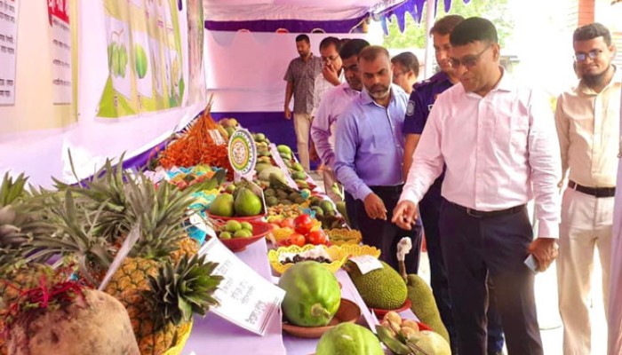 রাজশাহীতে শুরু হলো ফল ও আম মেলা