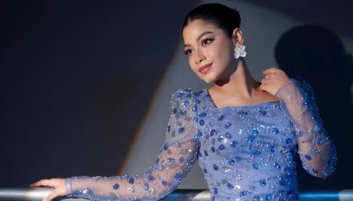 ‘ফ্রড অ্যালার্ট’ লিখে পরিচালকের বিরুদ্ধে গুরুতর অভিযোগ পারসার