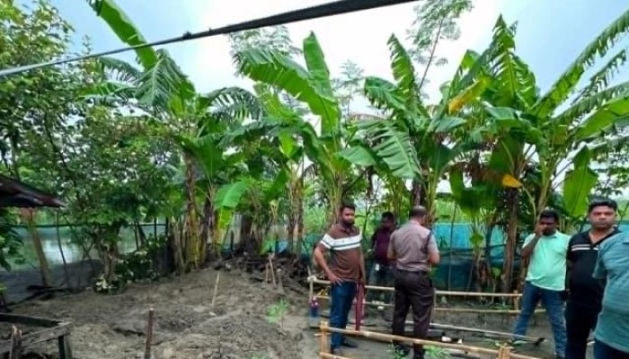 ৫ মাস পর বাড়ির উঠান থেকে ইজিবাইক চালকের কঙ্কাল উদ্ধার, গ্রেপ্তার ২