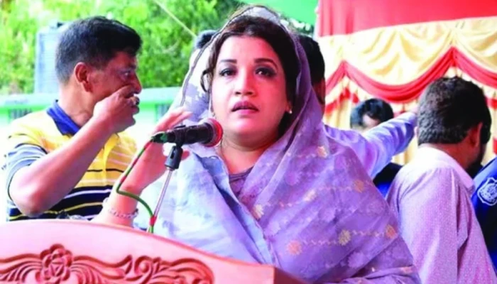 ১৭ বছর স্বৈরাচারী সরকার মানুষকে কথা বলতে দেয়নি: পররাষ্ট্র প্রতিমন্ত্রী