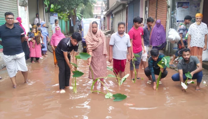 সড়কে হাঁটুপানি, কচুগাছ লাগিয়ে প্রতিবাদ স্থানীয়দের সড়কে হাঁটুপানি, কচুগাছ লাগিয়ে প্রতিবাদ স্থানীয়দের