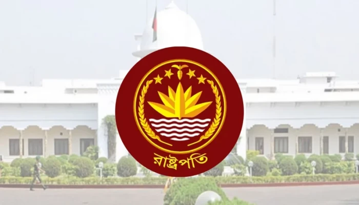 শুধু পদ নয়, বাংলাদেশের রাষ্ট্রপতির হাতে রয়েছে গুরুত্বপূর্ণ কিছু ক্ষমতা