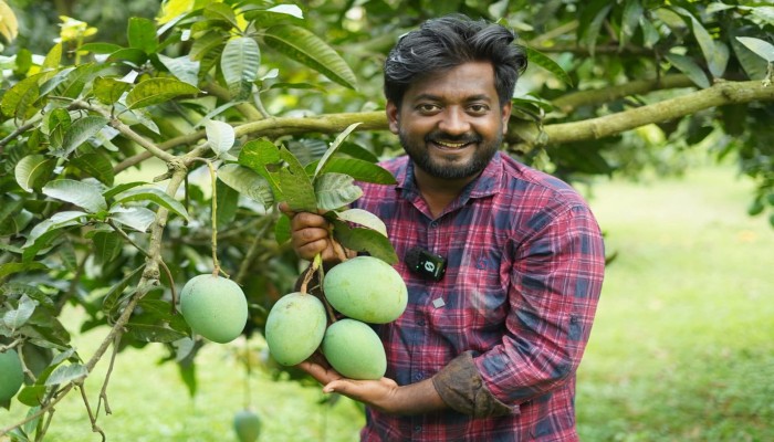ম্যাঙ্গো লাভার কার্যালয়ে তরুণীকে ধর্ষণচেষ্টার মামলা, উদ্যোক্তা মুরাদ কারাগারে