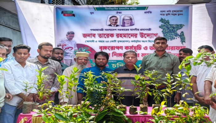 প্রধানমন্ত্রীর প্রতিশ্রুতি বাস্তবায়নে শিক্ষার্থীদের মাঝে বিনা মূল্যে গাছের চারা বিতরণ যুবদলের