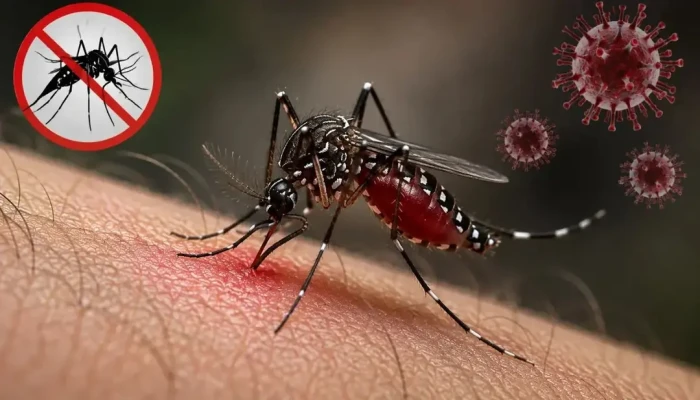 ডেঙ্গুতে আরও ৭ জনের মৃত্যু, হাসপাতালে ভর্তি ১৩৭৩