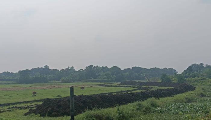 হাইকোর্টের আদেশ অমান্য করে বাগমারায় ফসলি জমিতে পুকুর খনন, প্রশাসনের ভূমিকা নিয়ে প্রশ্ন